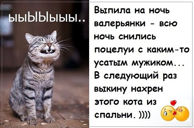 Усатый мужик