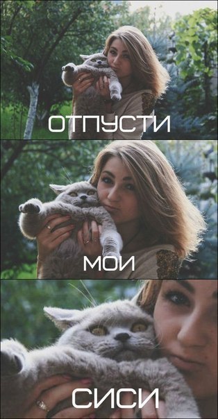 Отпусти