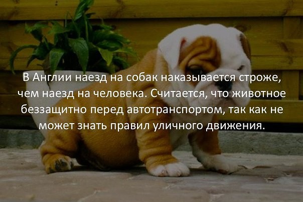Англия