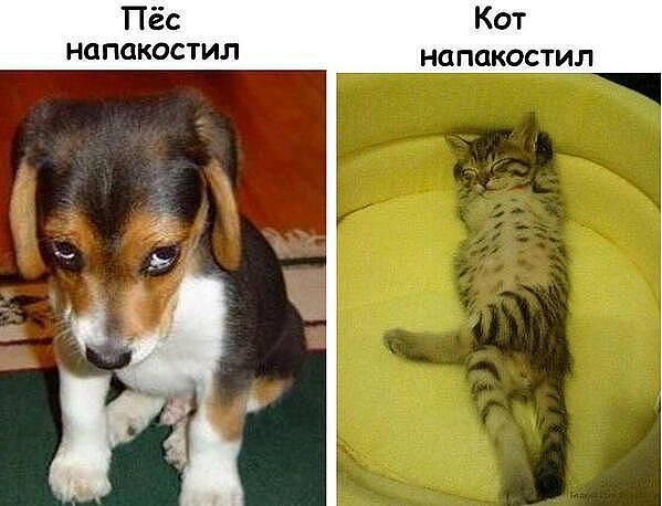 Разница