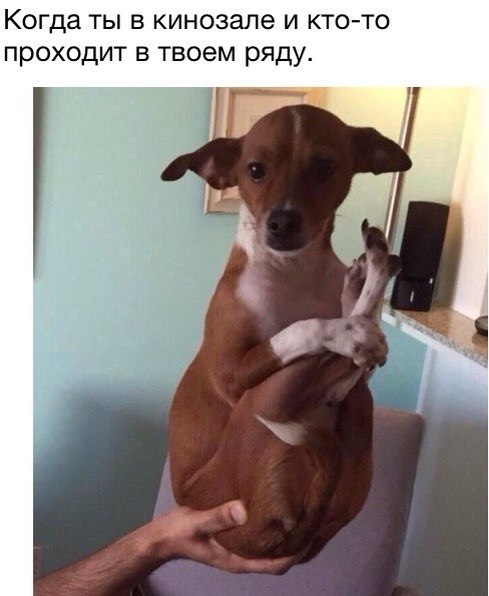 В кинозале