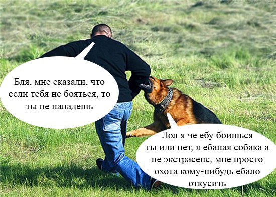 Я собака