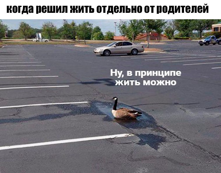 Жить можно