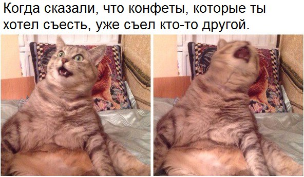 Конфетки