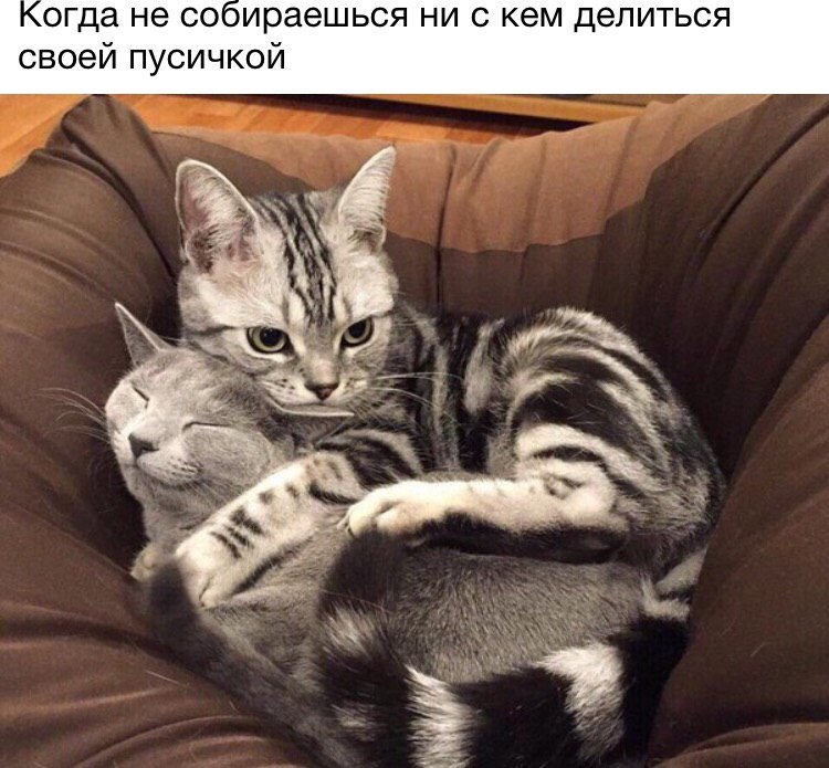 Пусичка