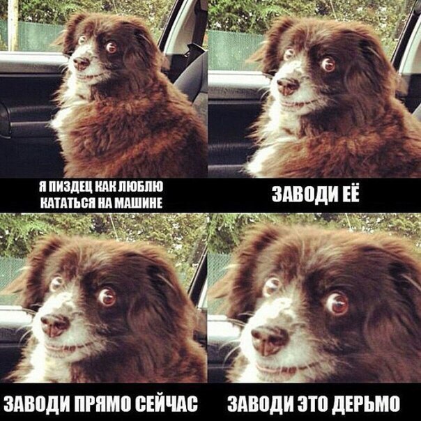 Люблю кататься