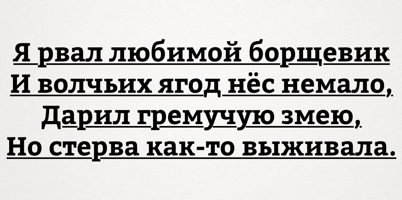 Стерва