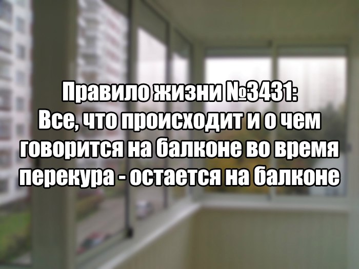Правило жизни