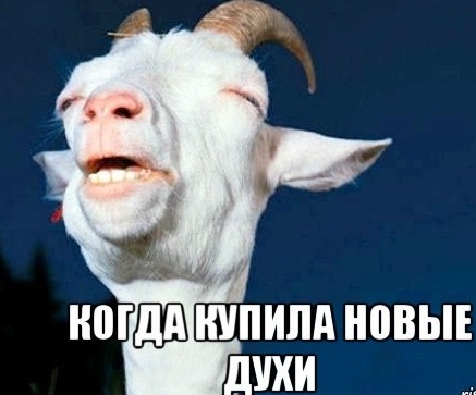 Новые духи