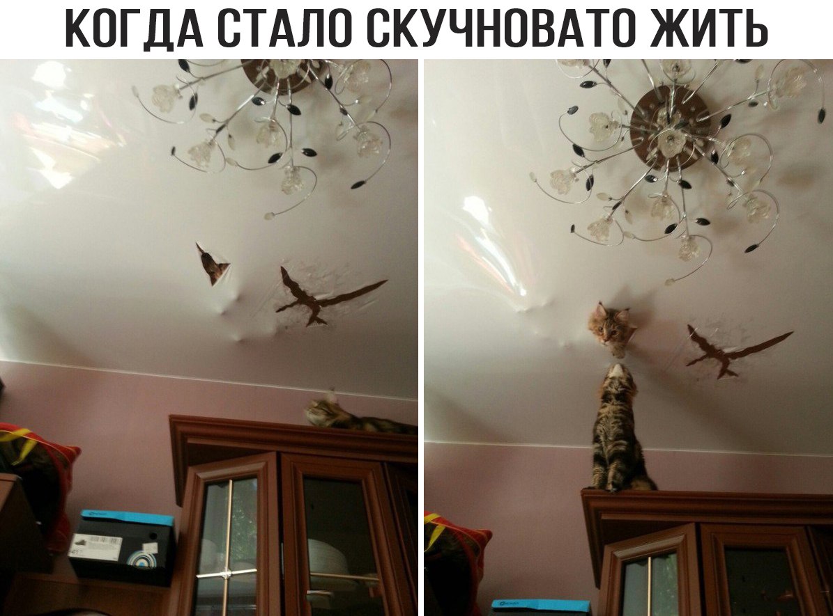 Скучновато