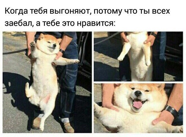 Выгоняют
