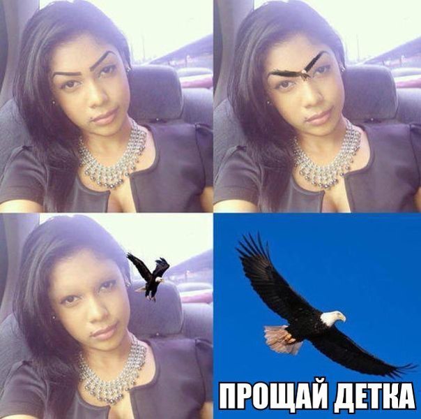 Прощай