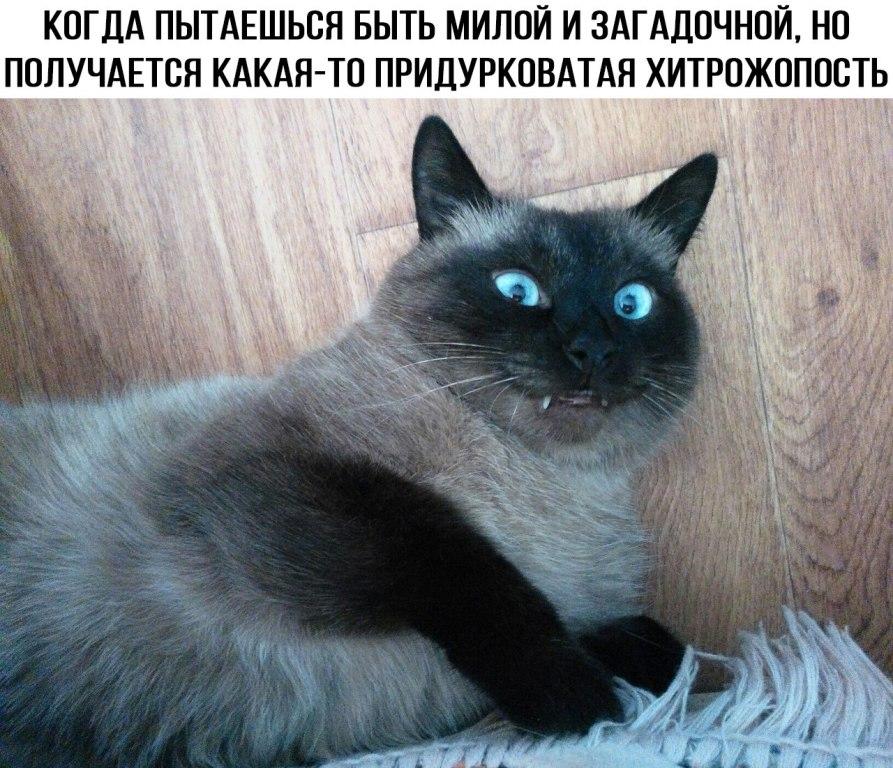Милая и загадочная
