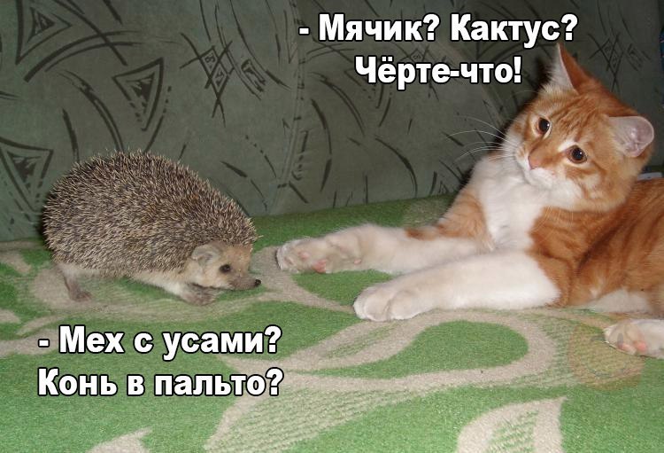 Кто такой