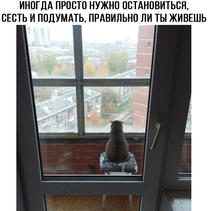 Нужно остановиться