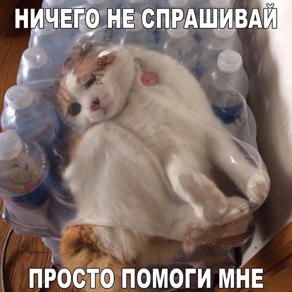 Помоги мне