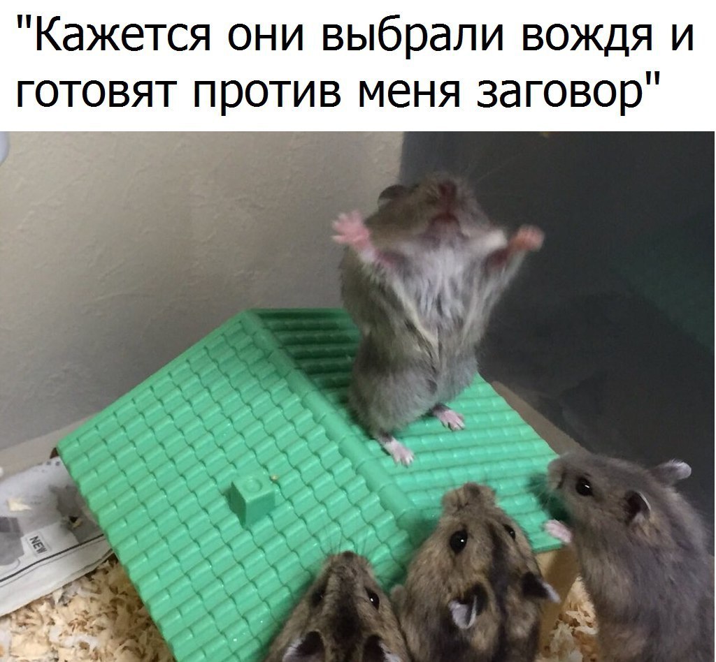 Заговор