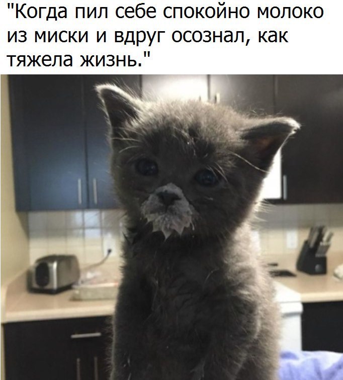 Как тяжела жизнь
