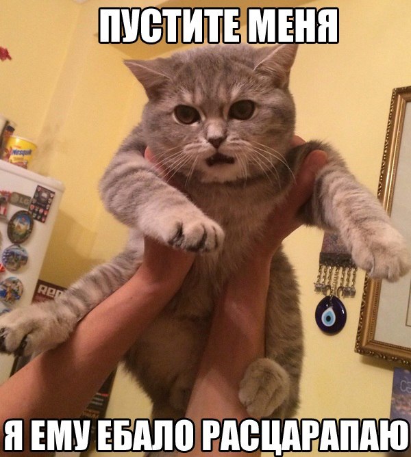 Пустите меня