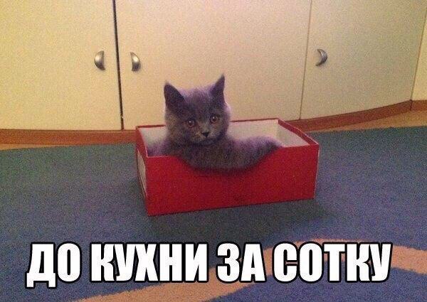 За сотку