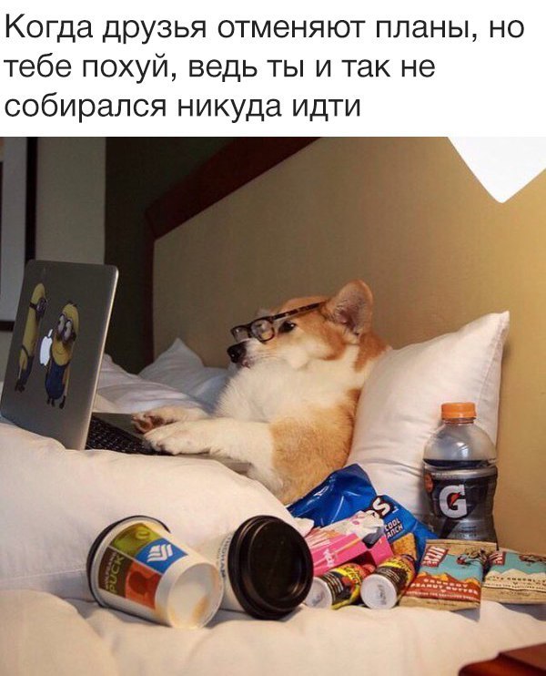 Никуда не собирался