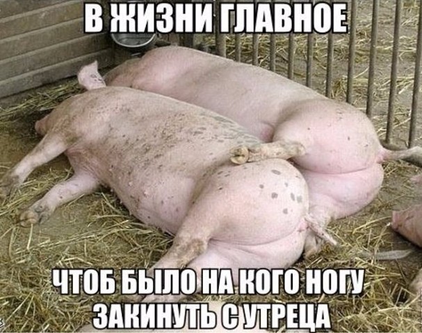 Главное в жизни