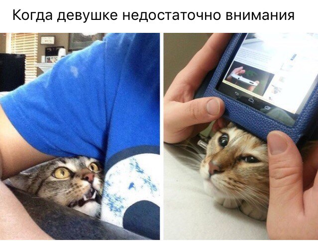 Недостаточно внимания
