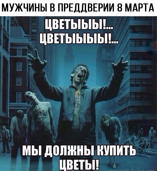 Купить цветы