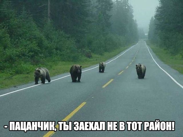 Не туда заехал