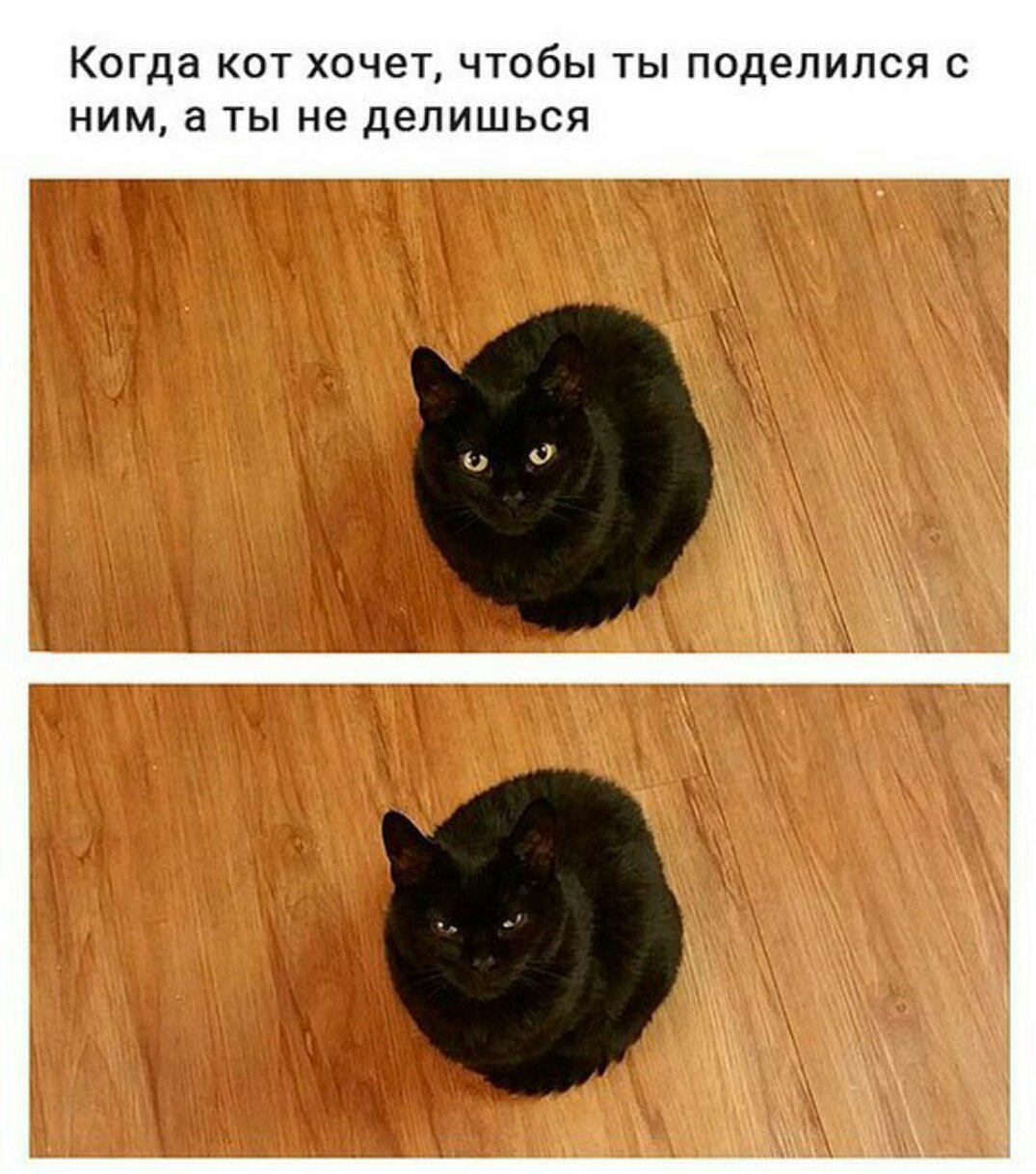 Делись