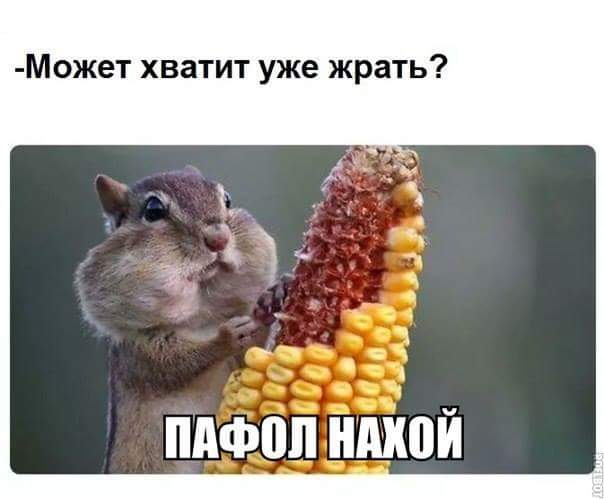 Может хватит