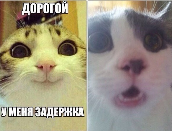 Дорогой
