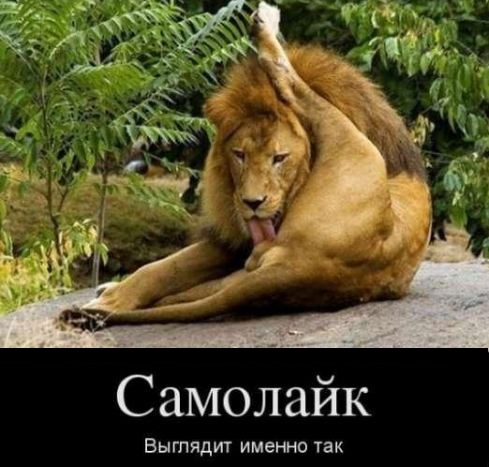 Самолайк