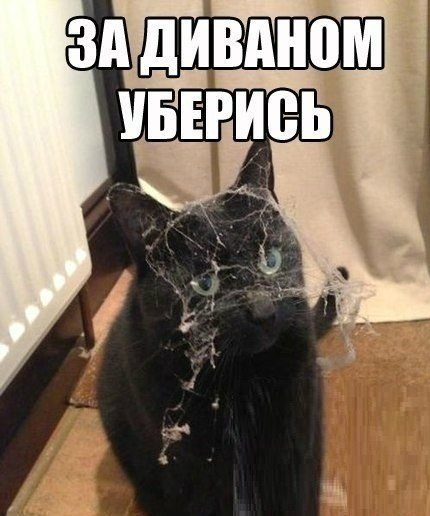 За диваном