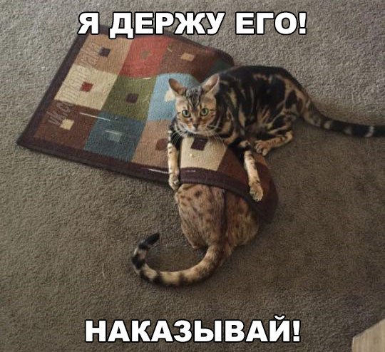 Держу его