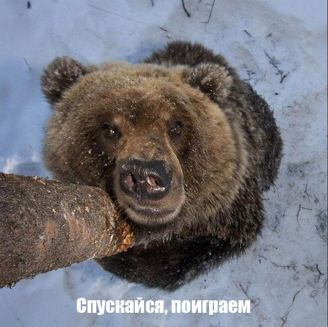 Поиграем