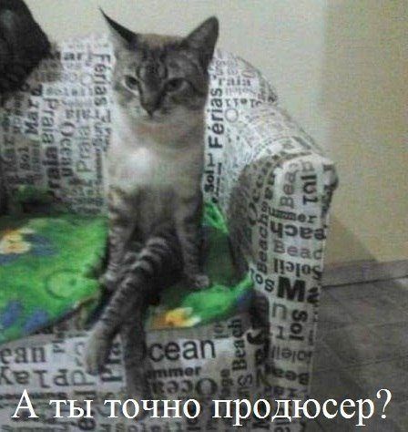 Продюсер