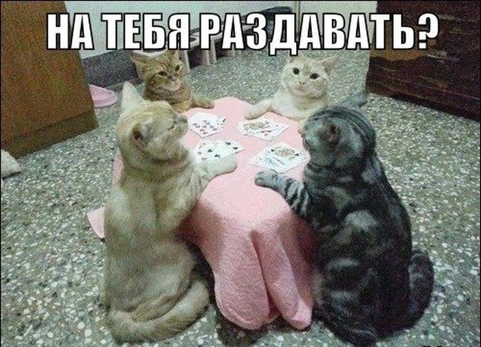 Раздавать