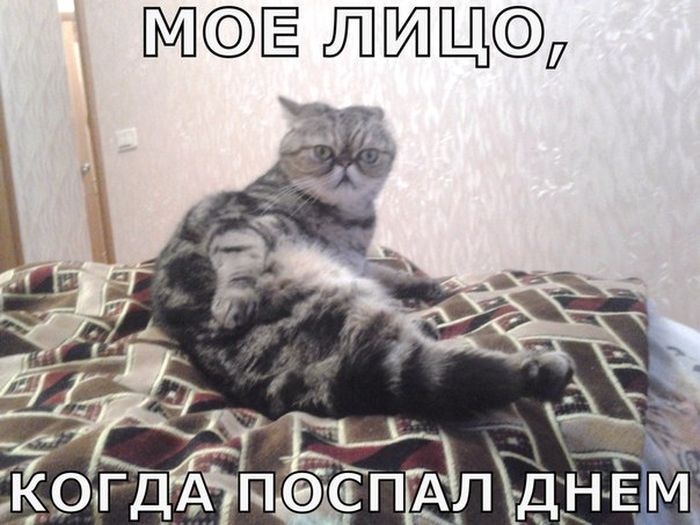 Поспал днём