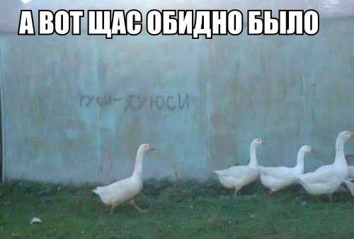 Обидно было