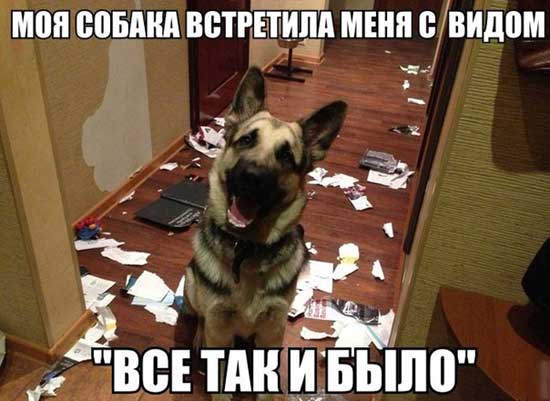 Так и было