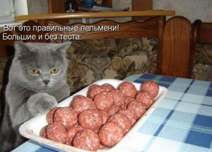 Правильные пельмени