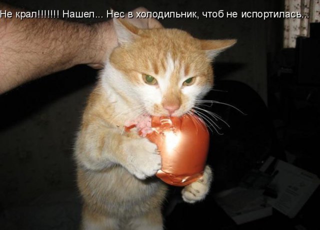 Нашёл