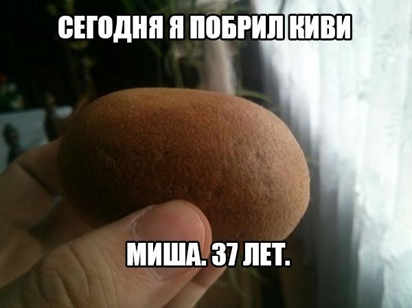 Киви