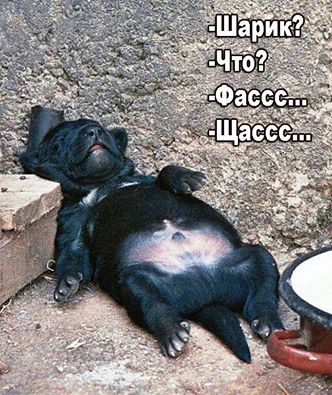 Шарик