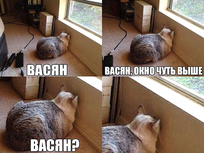 Васян