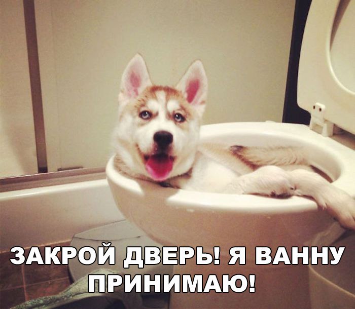 Закрой дверь