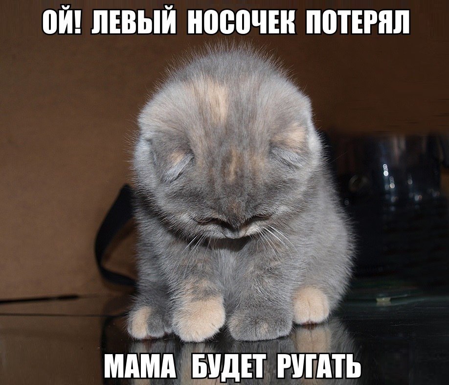 Носочек пропал
