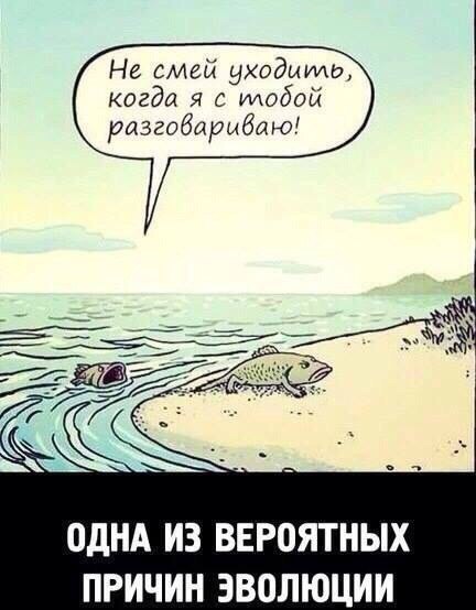 Эволюция