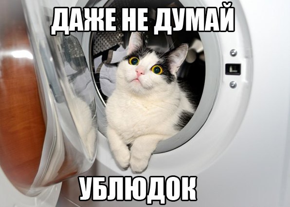 Карусель?